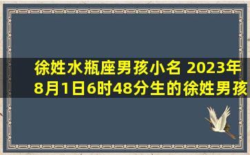 徐姓水瓶座男孩小名 2023年8月1日6时48分生的徐姓男孩取什么名字好